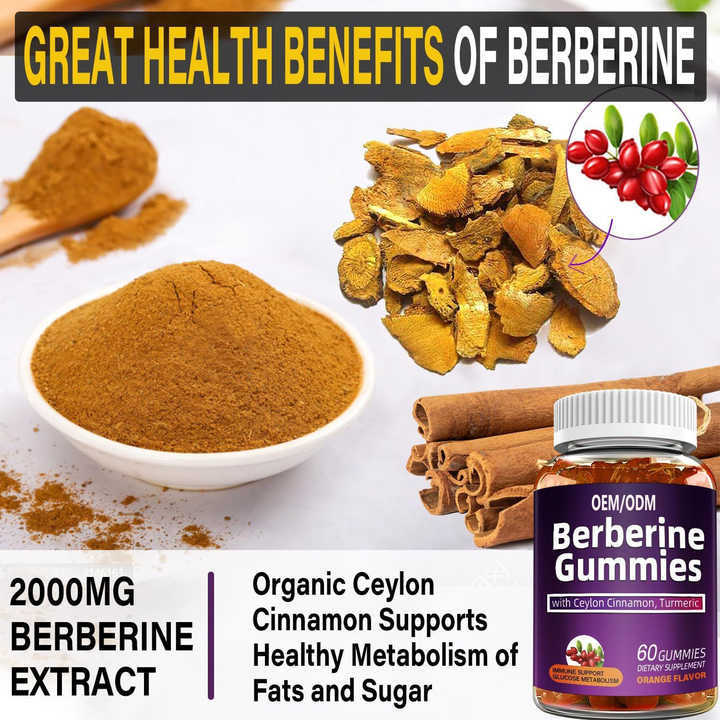 Berberine Gummies with Ceylon Cinnamon & Turmeric, Orange Flavor, 60 Count Glucose Metabolism & Immune Support Supplement, Private Label OEM Available