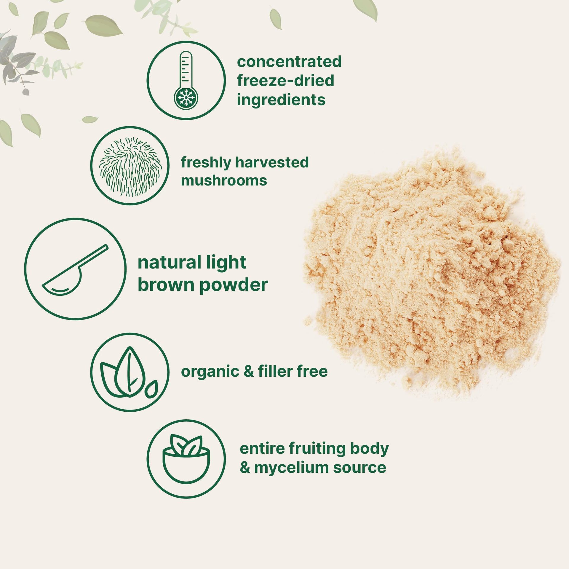 Organic Lion's Mane Mushroom Powder 1lb (454g), Natural Polysaccharides Brain Support Supplement, Non-GMO & Filler-Free Focus Memory Support Adaptogenic Mushroom Powder